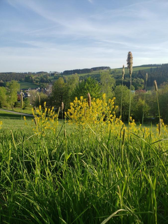 Apartment Sonnen Panorama - Abenteurer Und Weltentdecker Winterberg